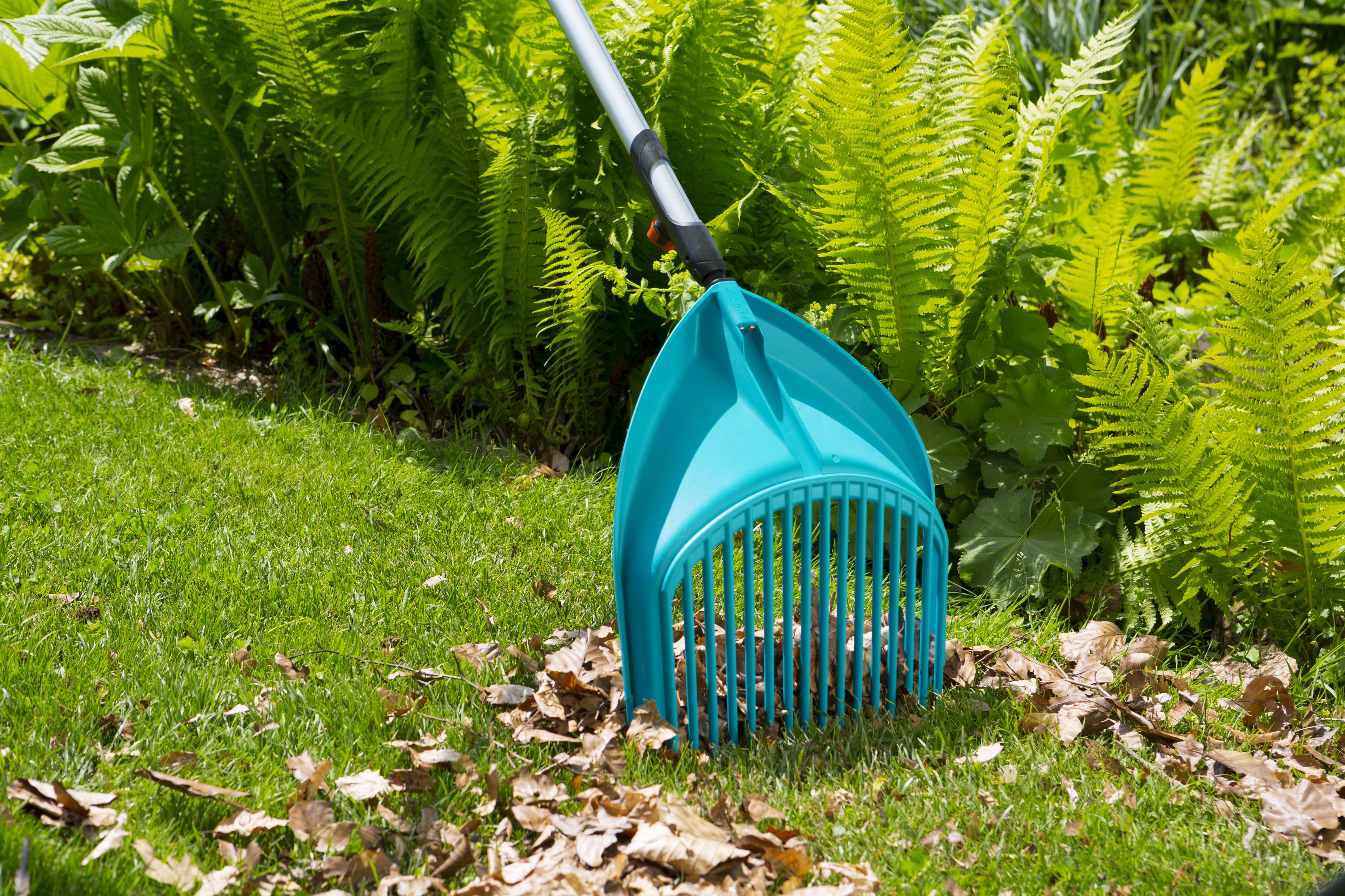 Cepillo recoge hojas Combisystem