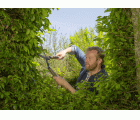 Cortasetos NatureCut