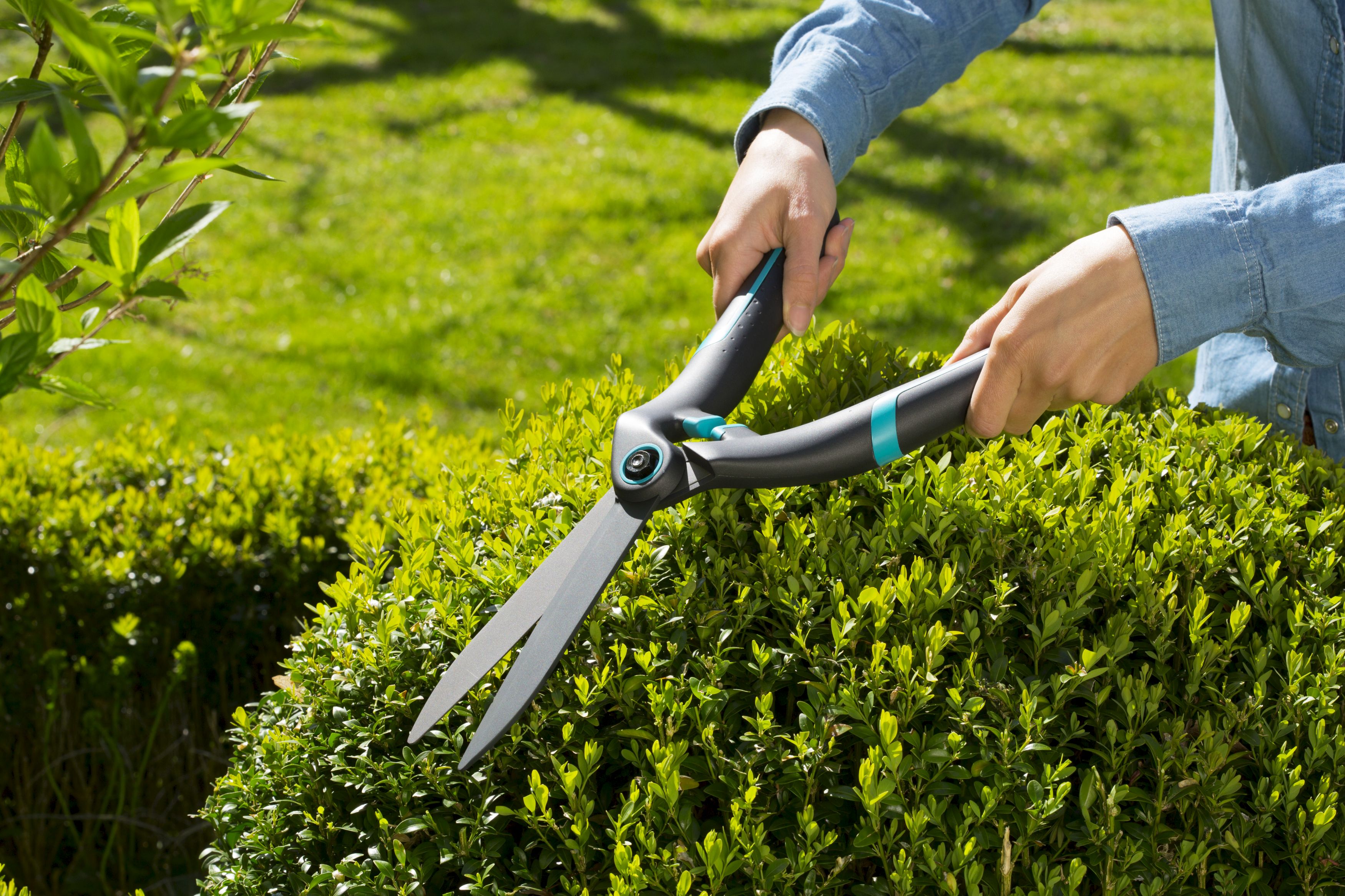 Cortasetos PrecisionCut