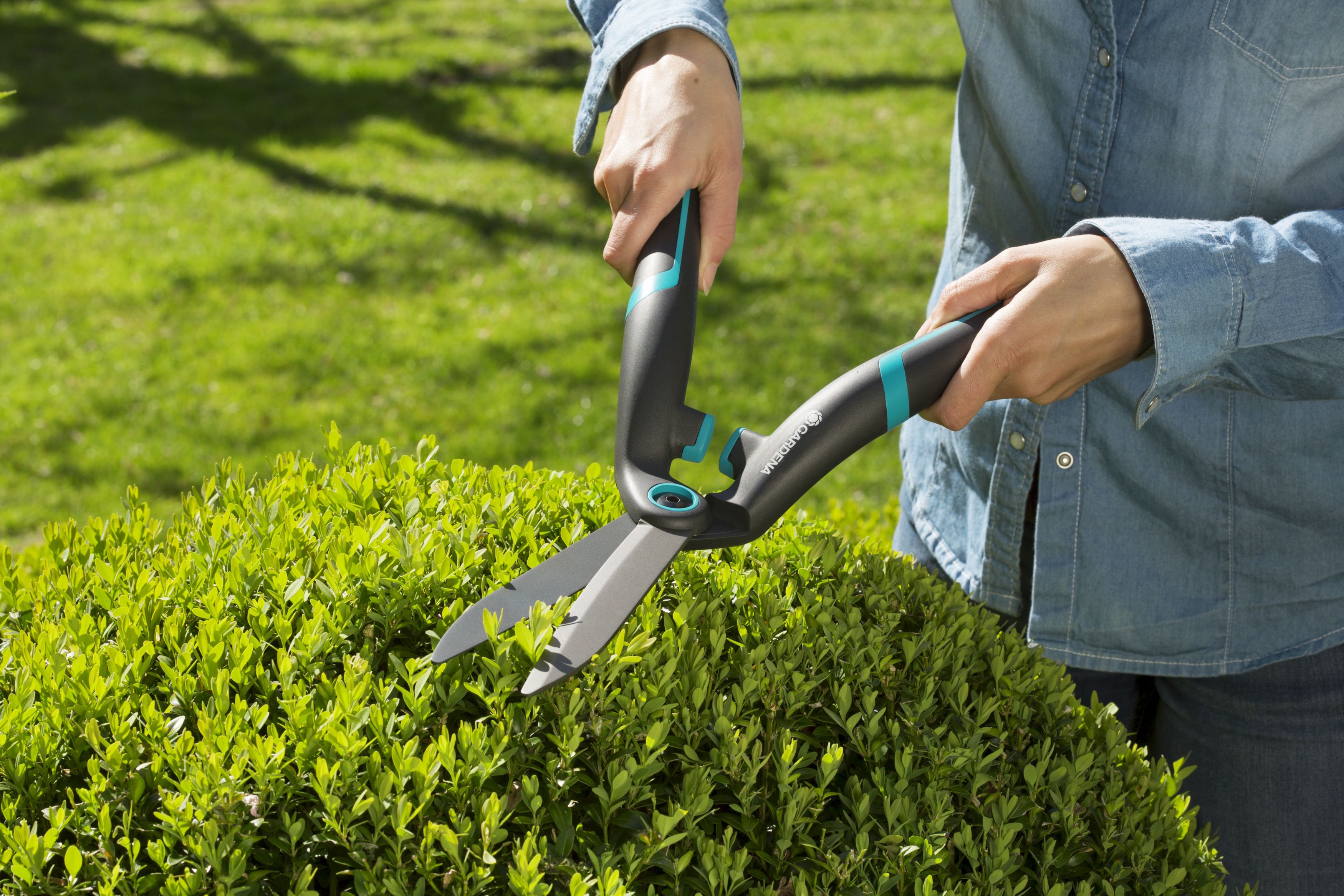 Cortasetos PrecisionCut