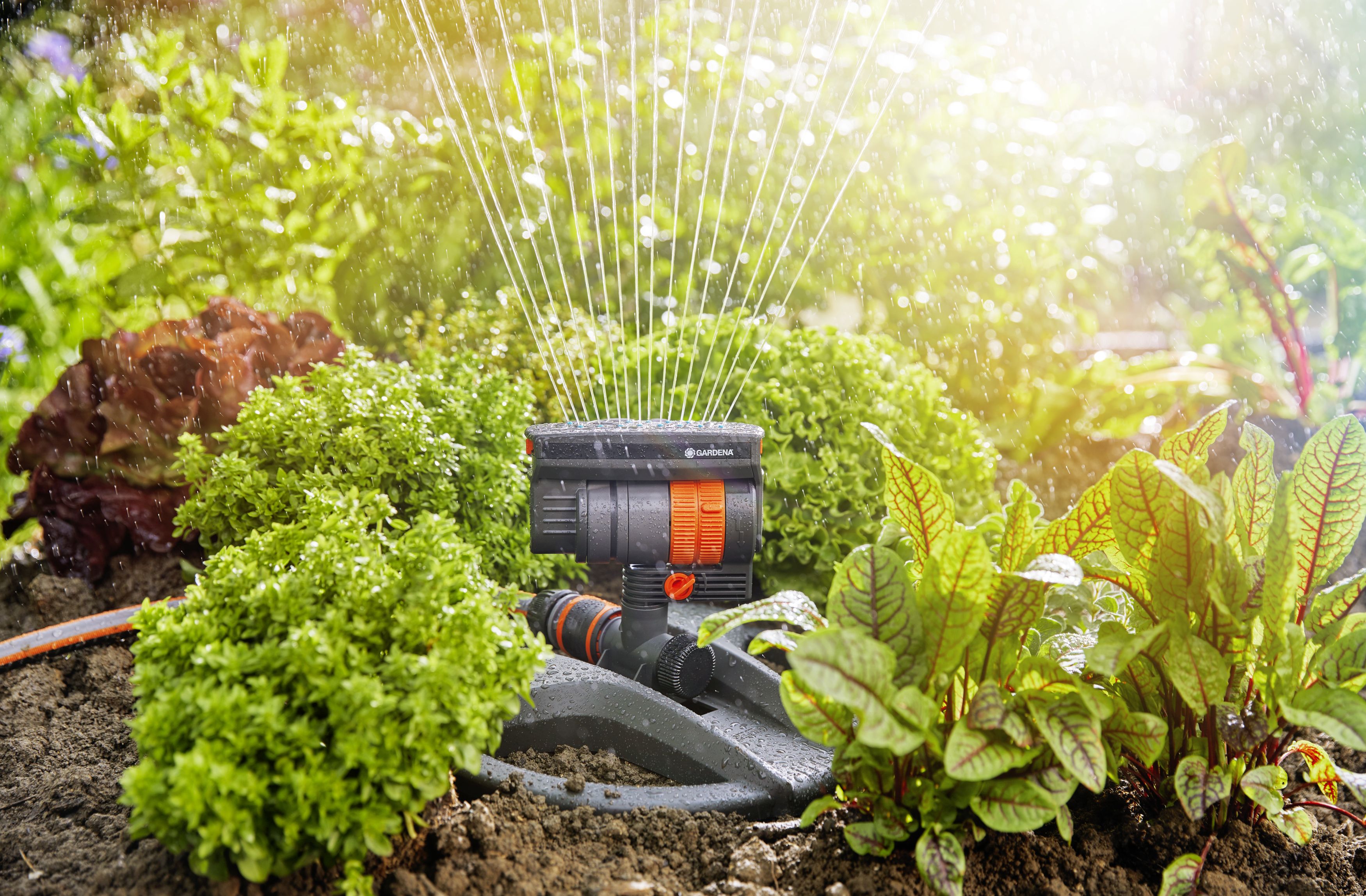 Set de aspersor Oscilante Aquazoom compact