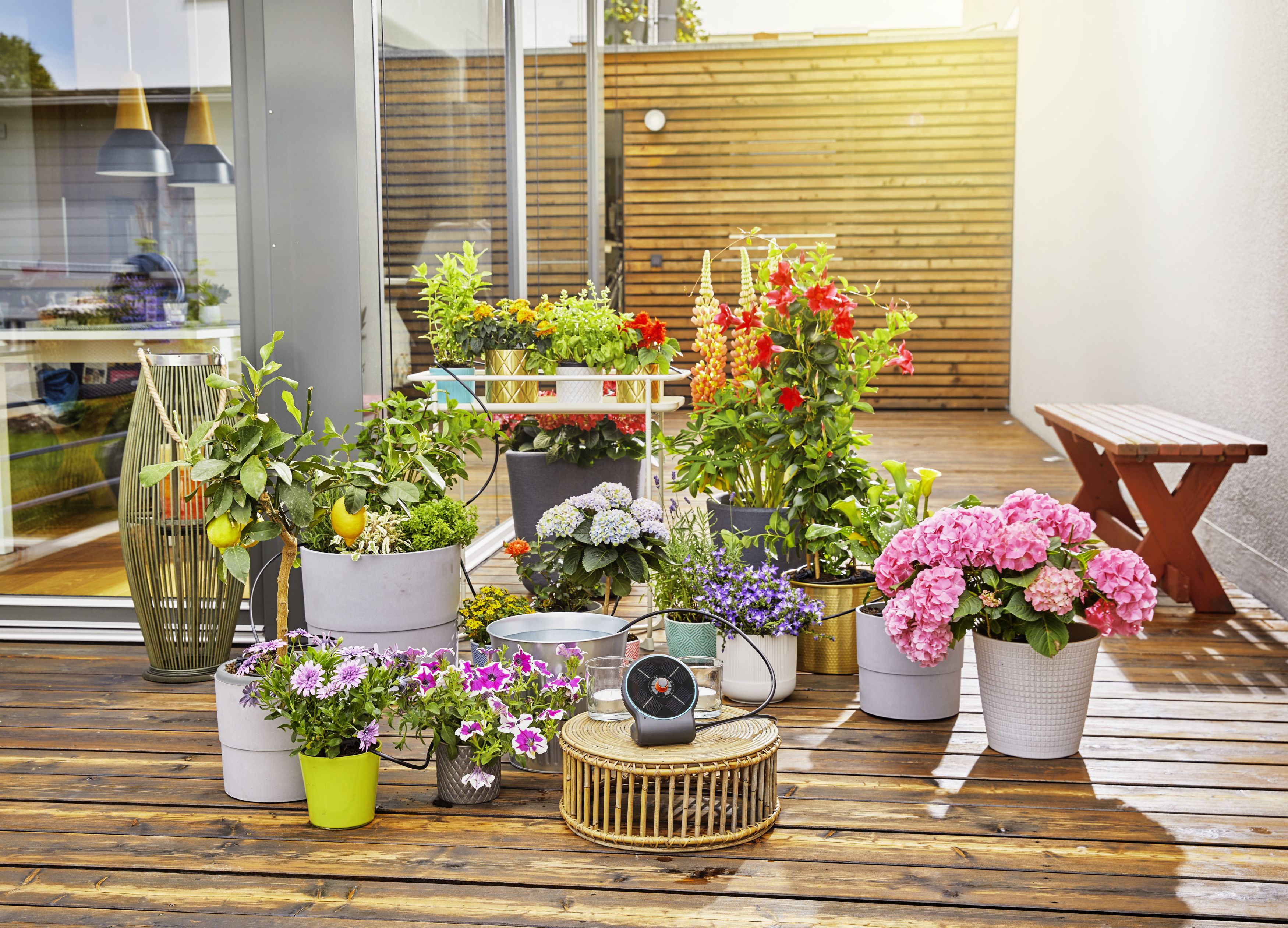 Set de Riego AquaBloom