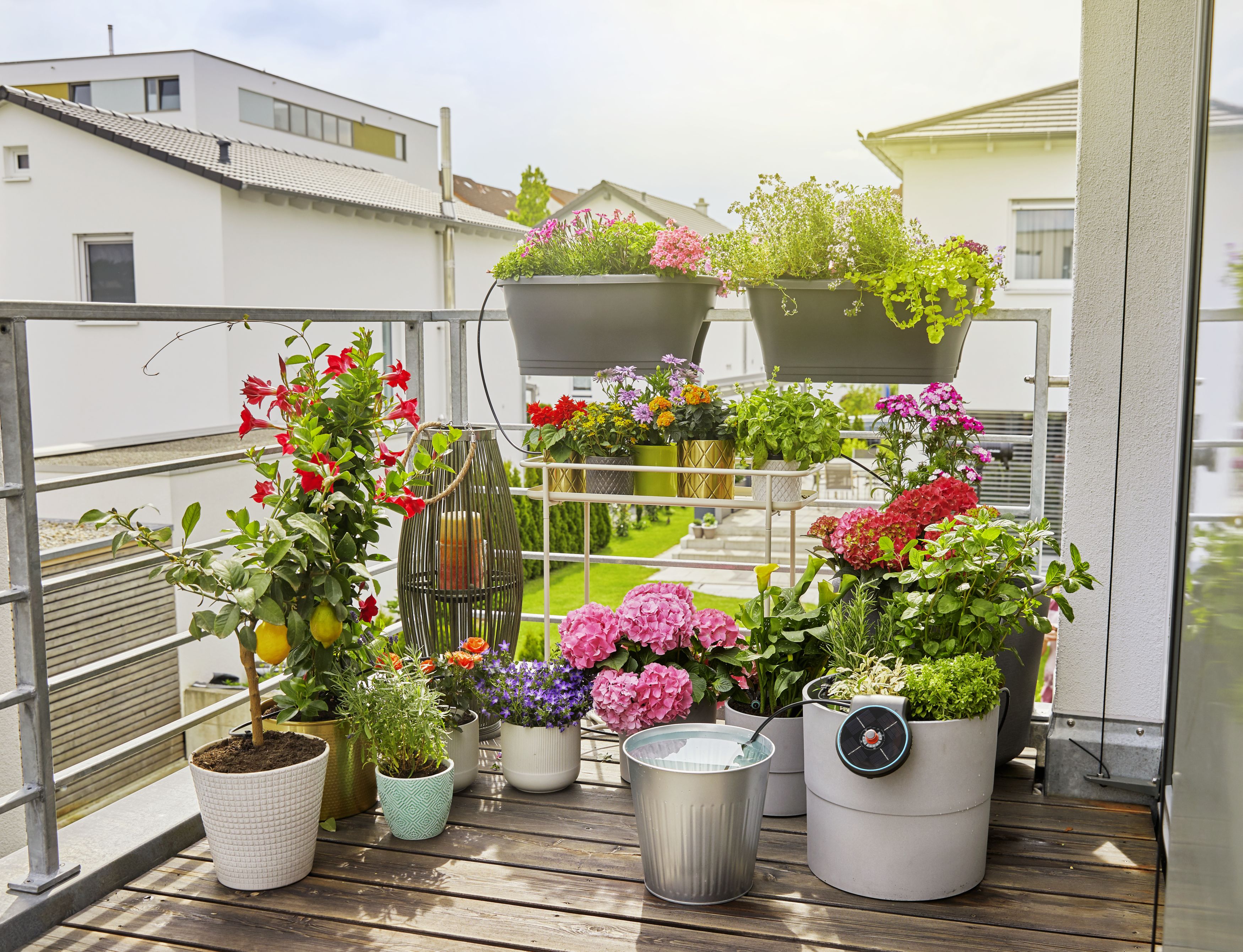 Set de Riego AquaBloom