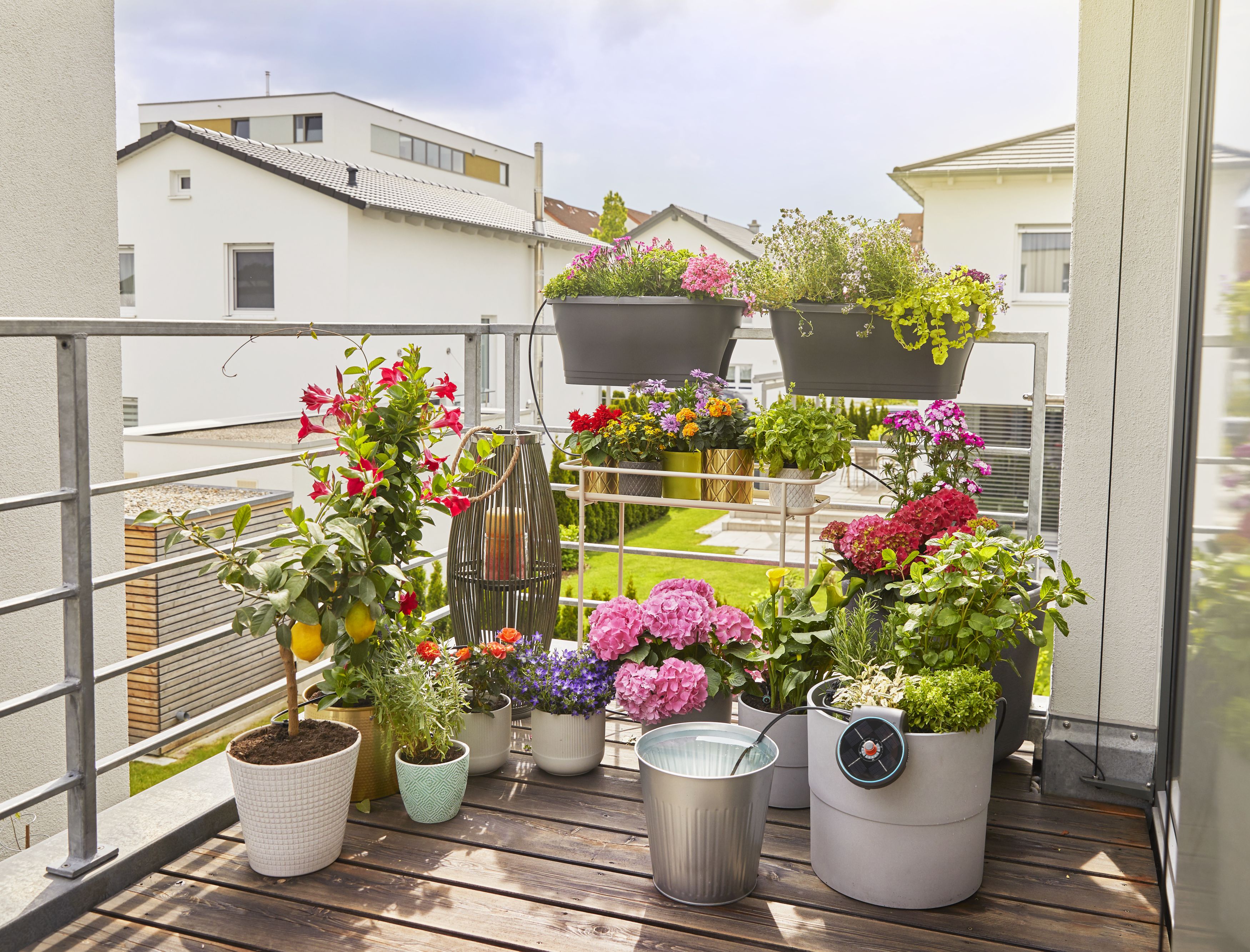 Set de Riego AquaBloom