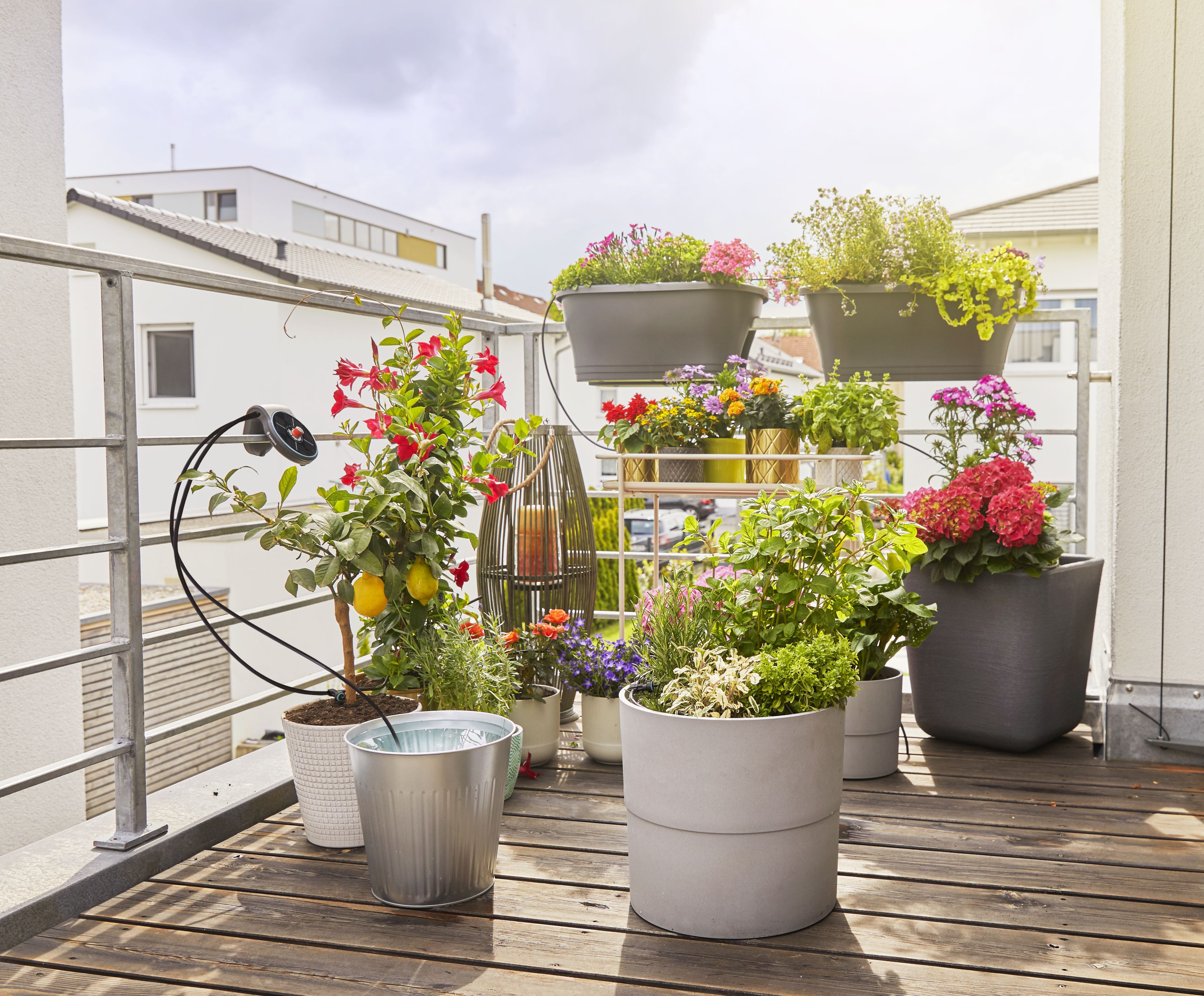 Set de Riego AquaBloom