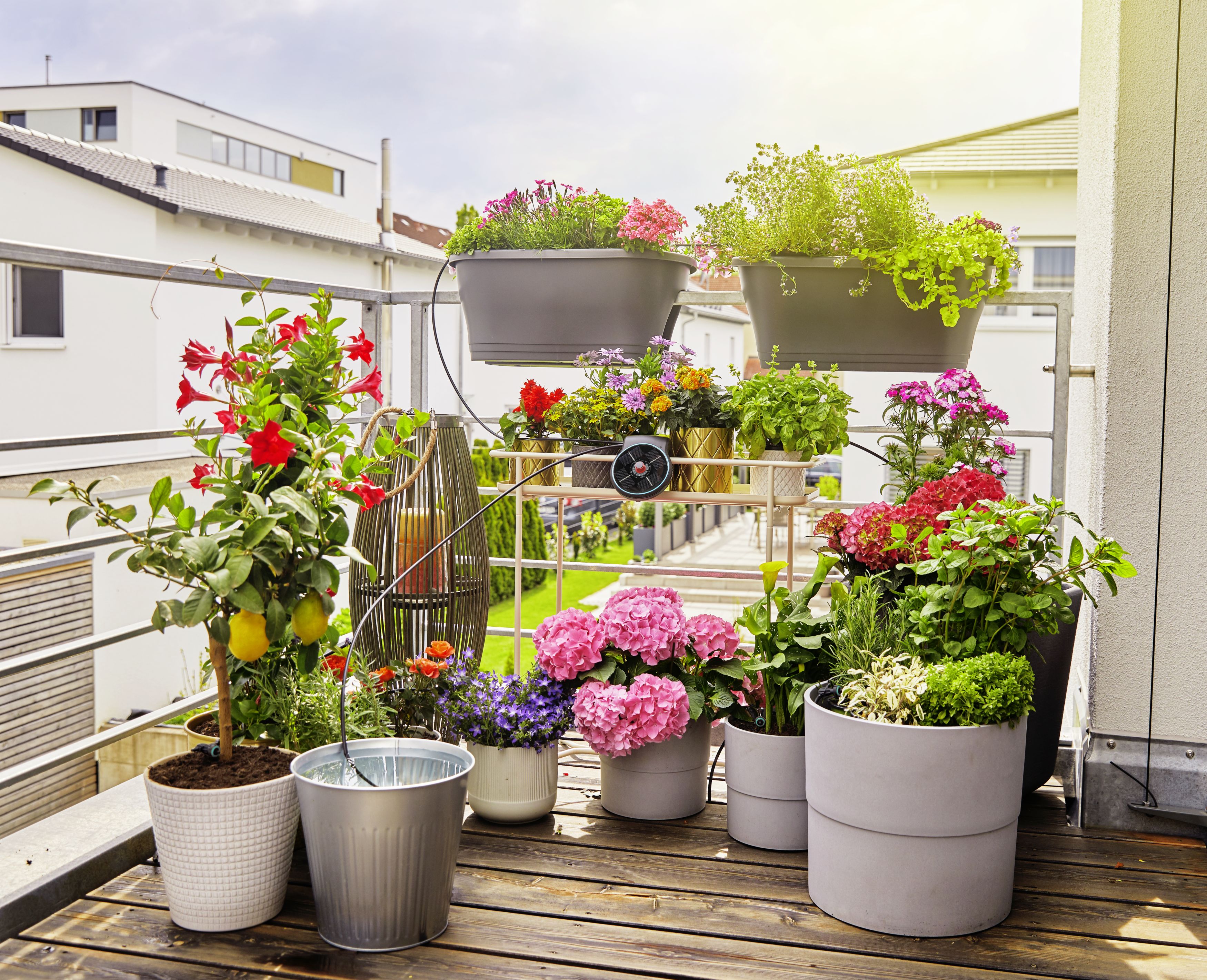 Set de Riego AquaBloom