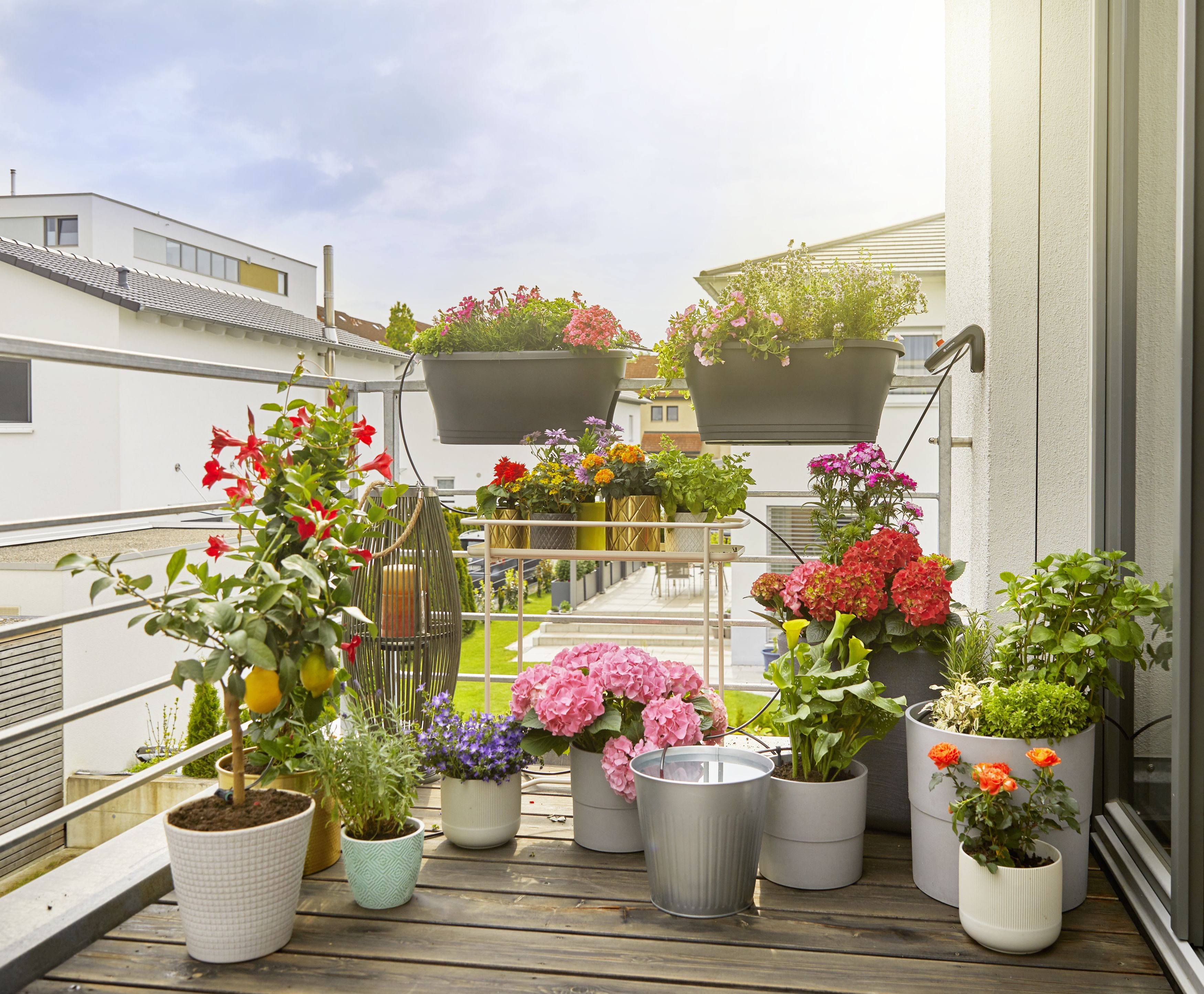 Set de Riego AquaBloom