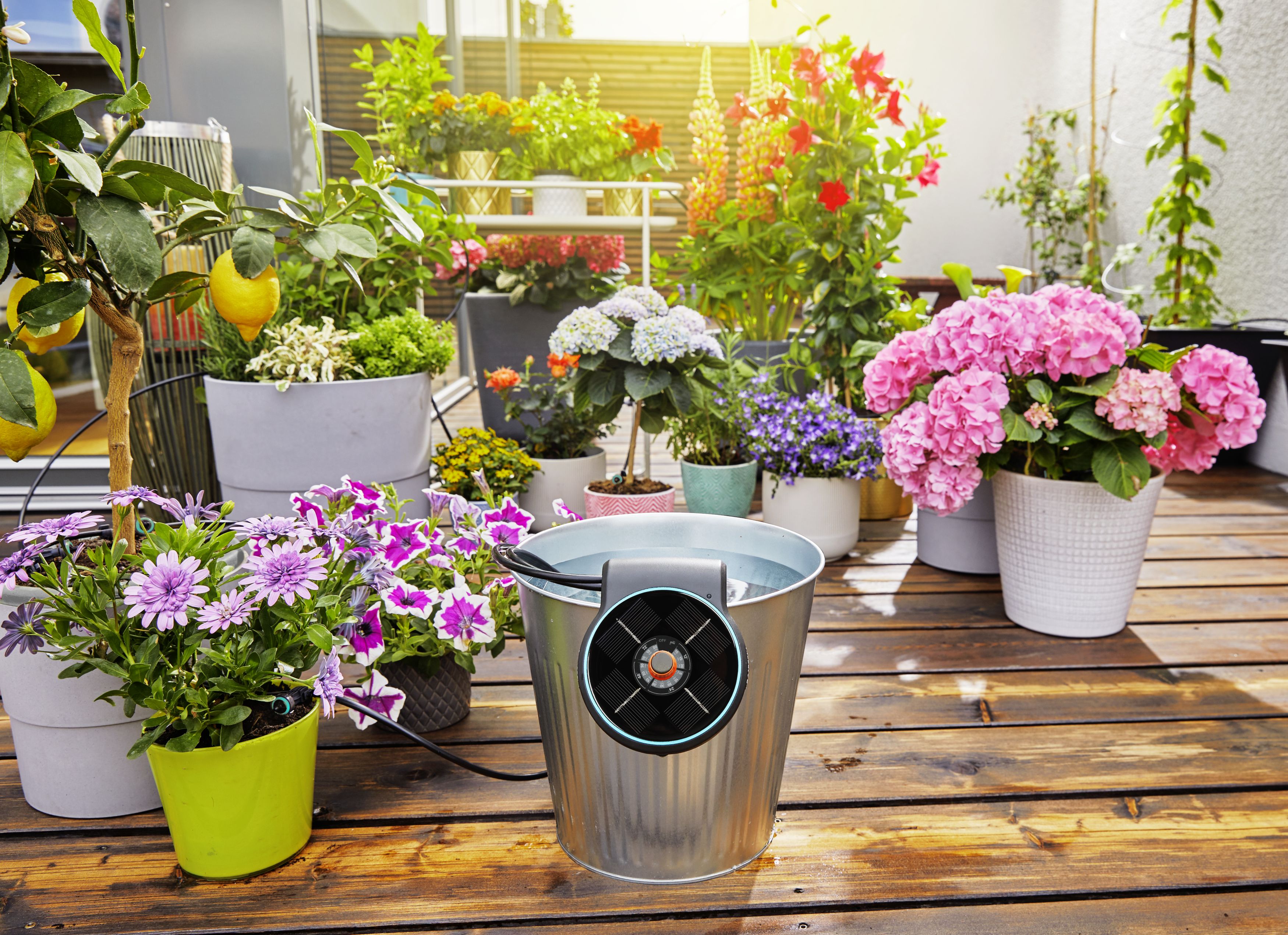 Set de Riego AquaBloom