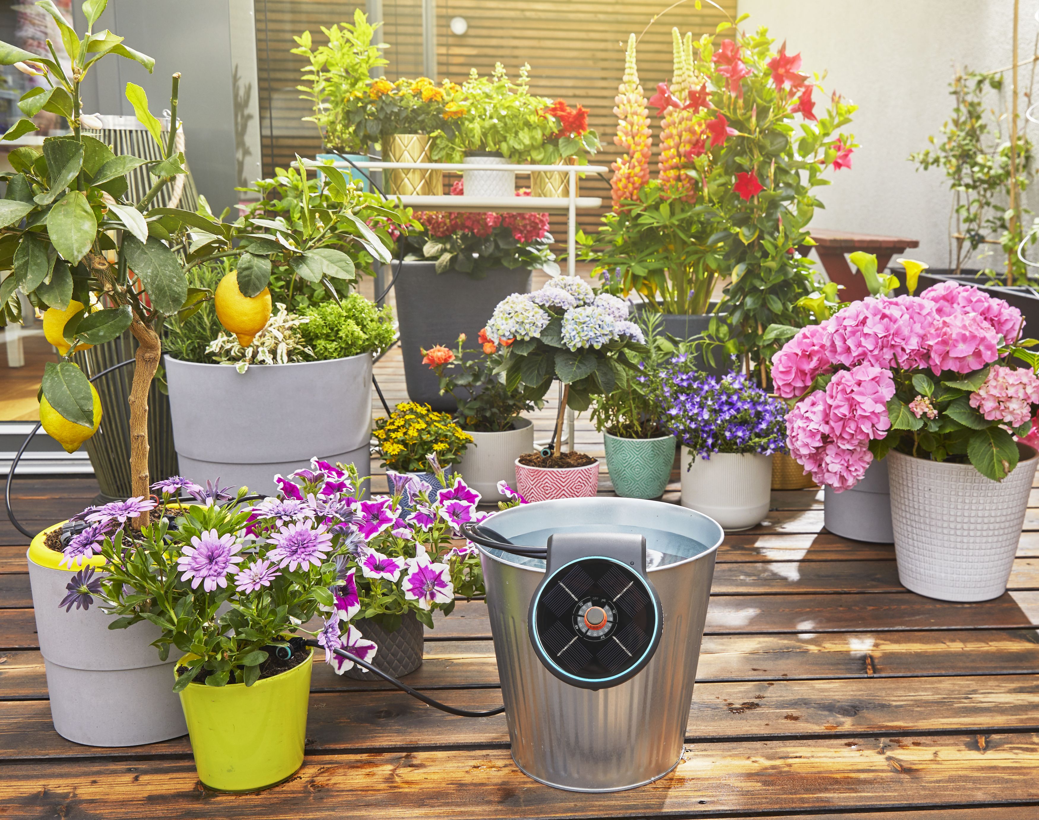 Set de Riego AquaBloom