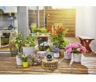 Set de Riego AquaBloom