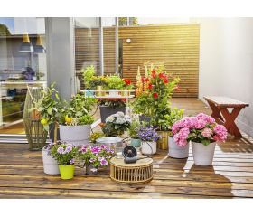 Set de Riego AquaBloom