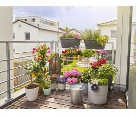 Set de Riego AquaBloom