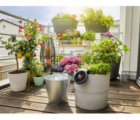 Set de Riego AquaBloom