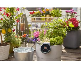 Set de Riego AquaBloom