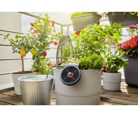 Set de Riego AquaBloom