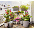Set de Riego AquaBloom