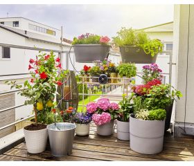 Set de Riego AquaBloom