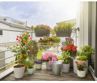 Set de Riego AquaBloom