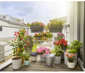 Set de Riego AquaBloom