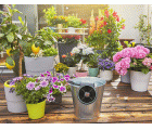 Set de Riego AquaBloom