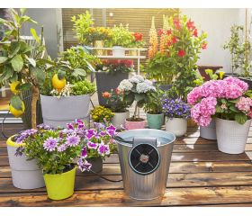 Set de Riego AquaBloom