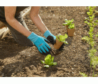 Guantes para plantar y tierra L