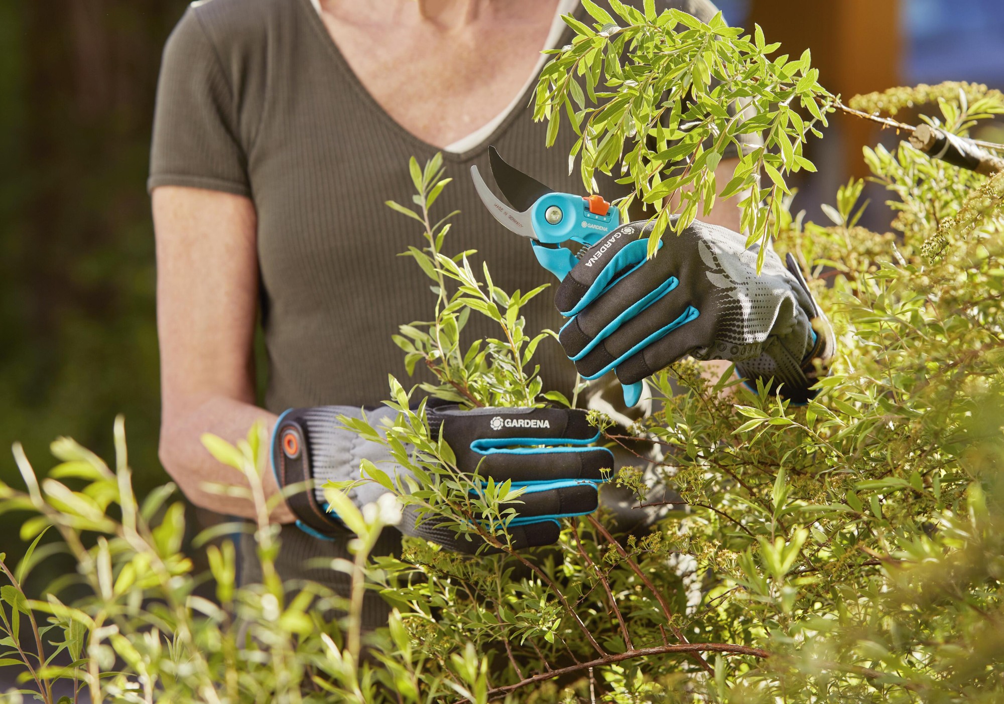 Guantes para arbustos M