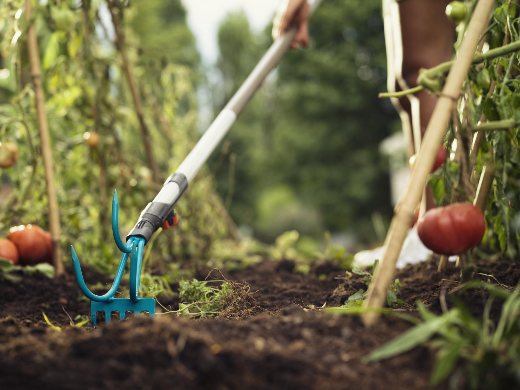 Rastrillo arrancador Combisystem