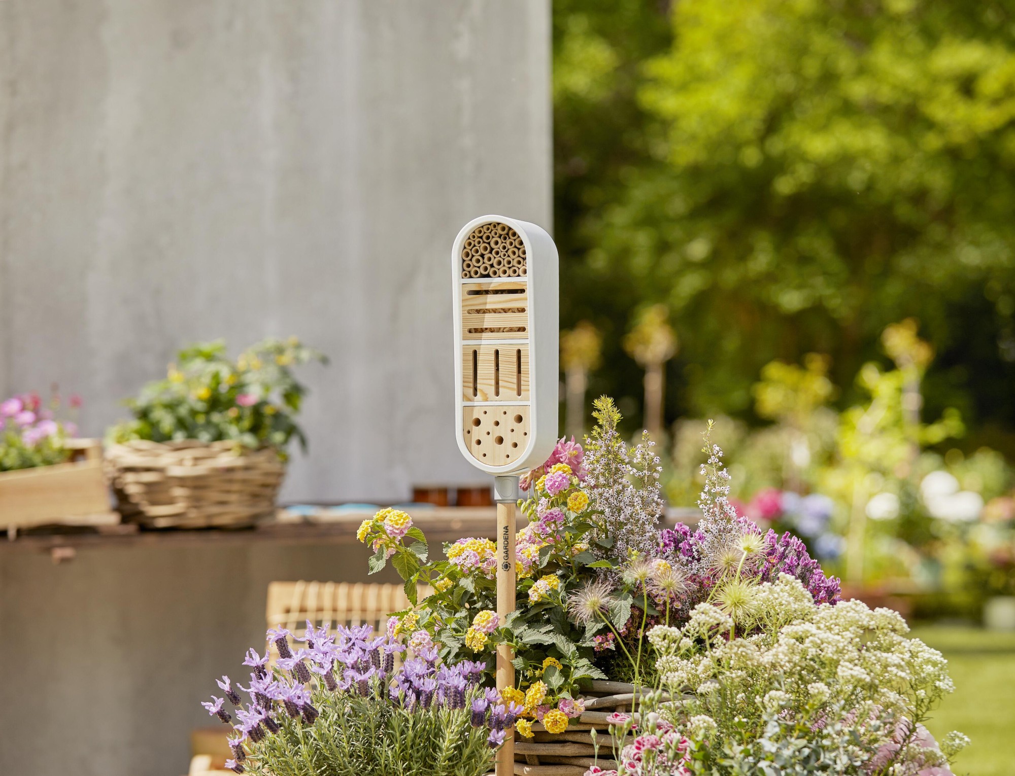 ClickUp! InsectoHotel