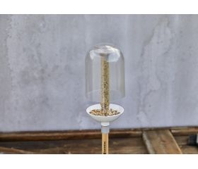 ClickUp! BirdFeeder