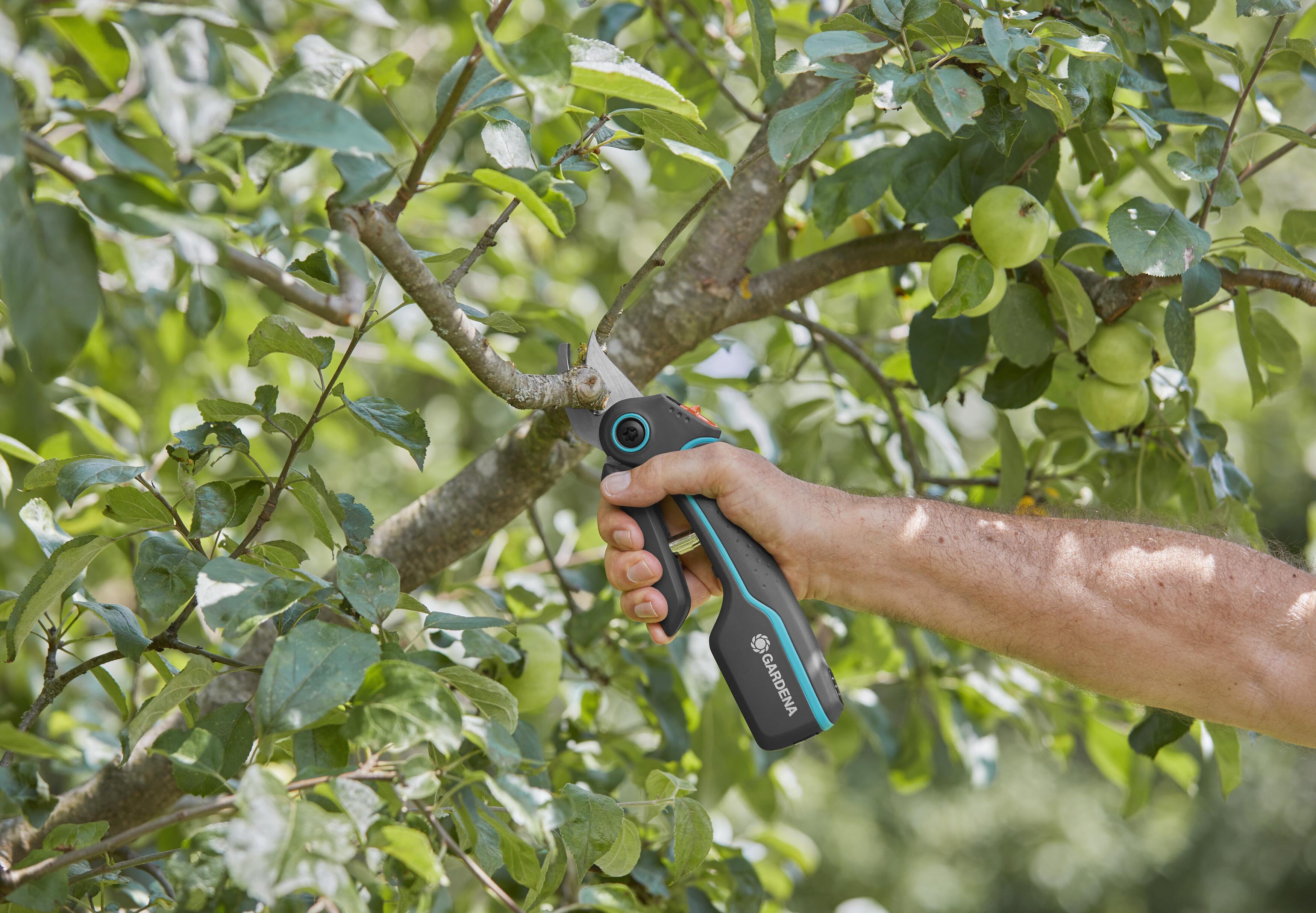 Tijera de corte de batería Assistcut
