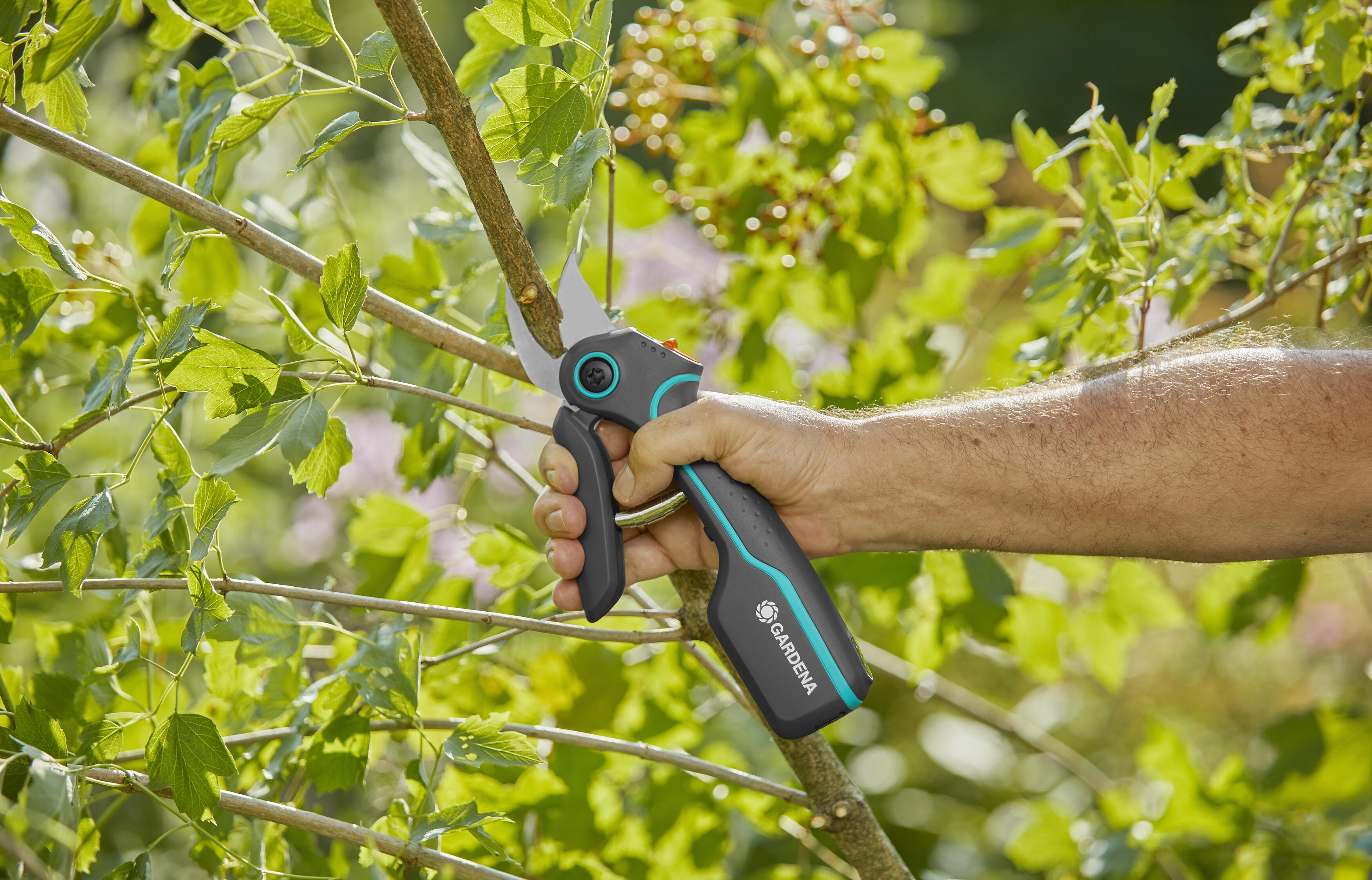 Tijera de corte de batería Assistcut