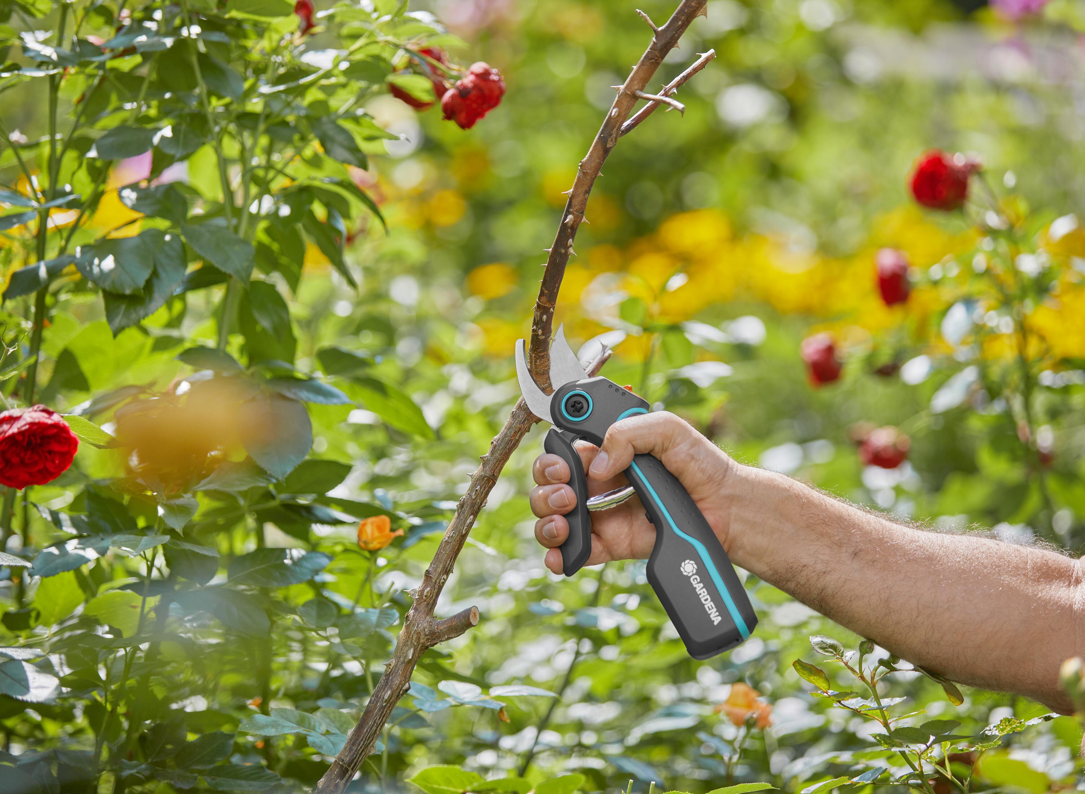 Tijera de corte de batería Assistcut