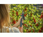 Tijera de corte de batería Assistcut