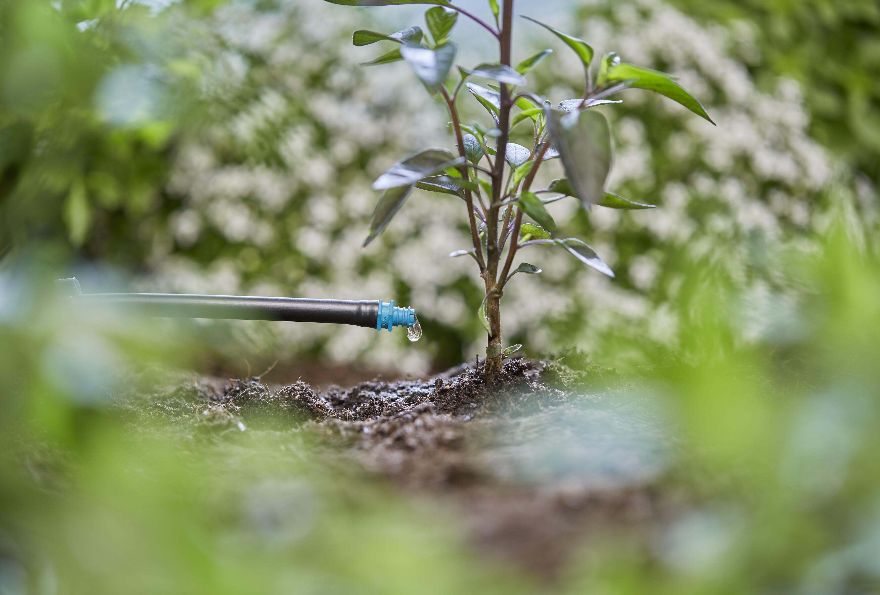 Cabezal de goteo de la línea final 2 L/H