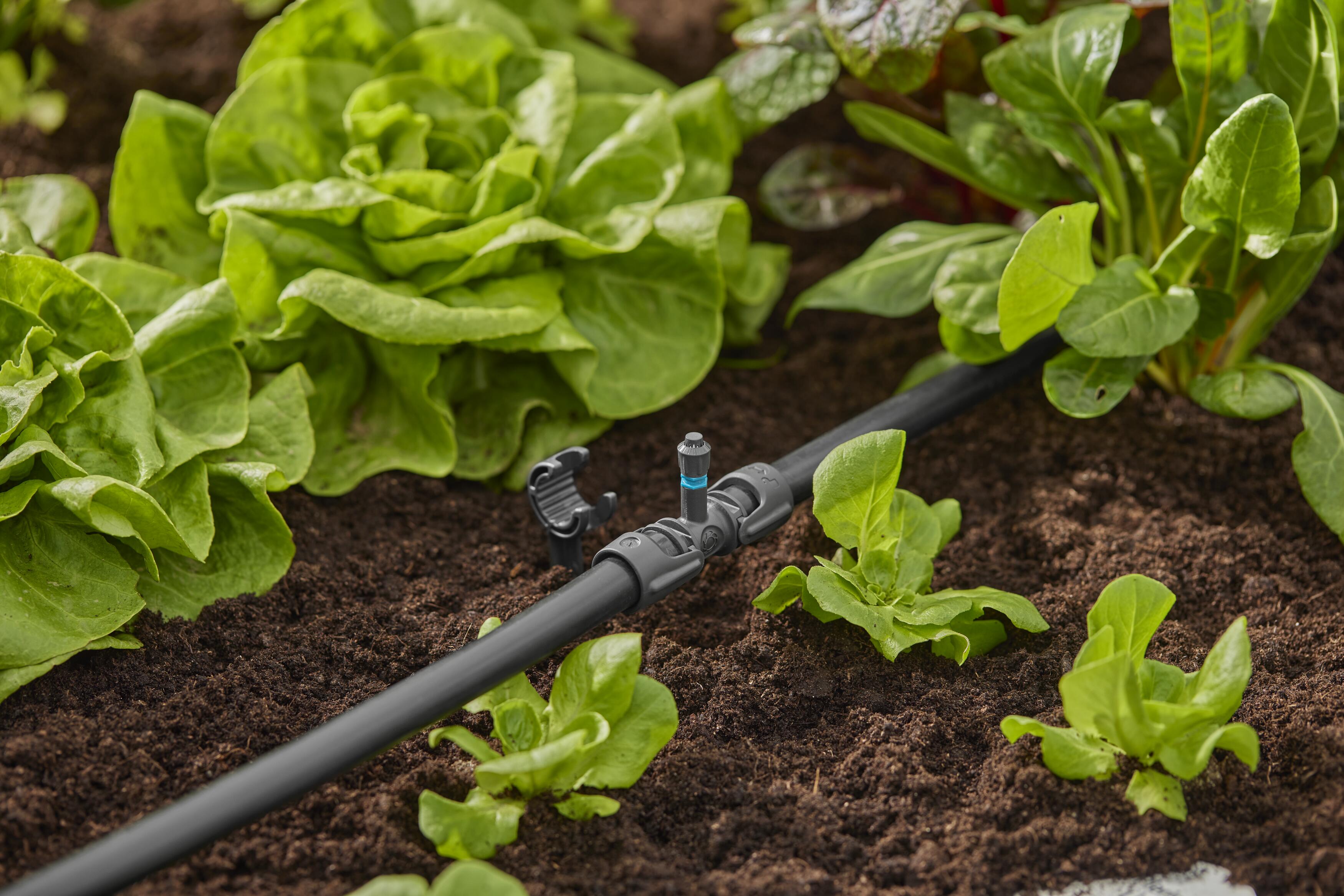 Aspersor de pulverización 360 °