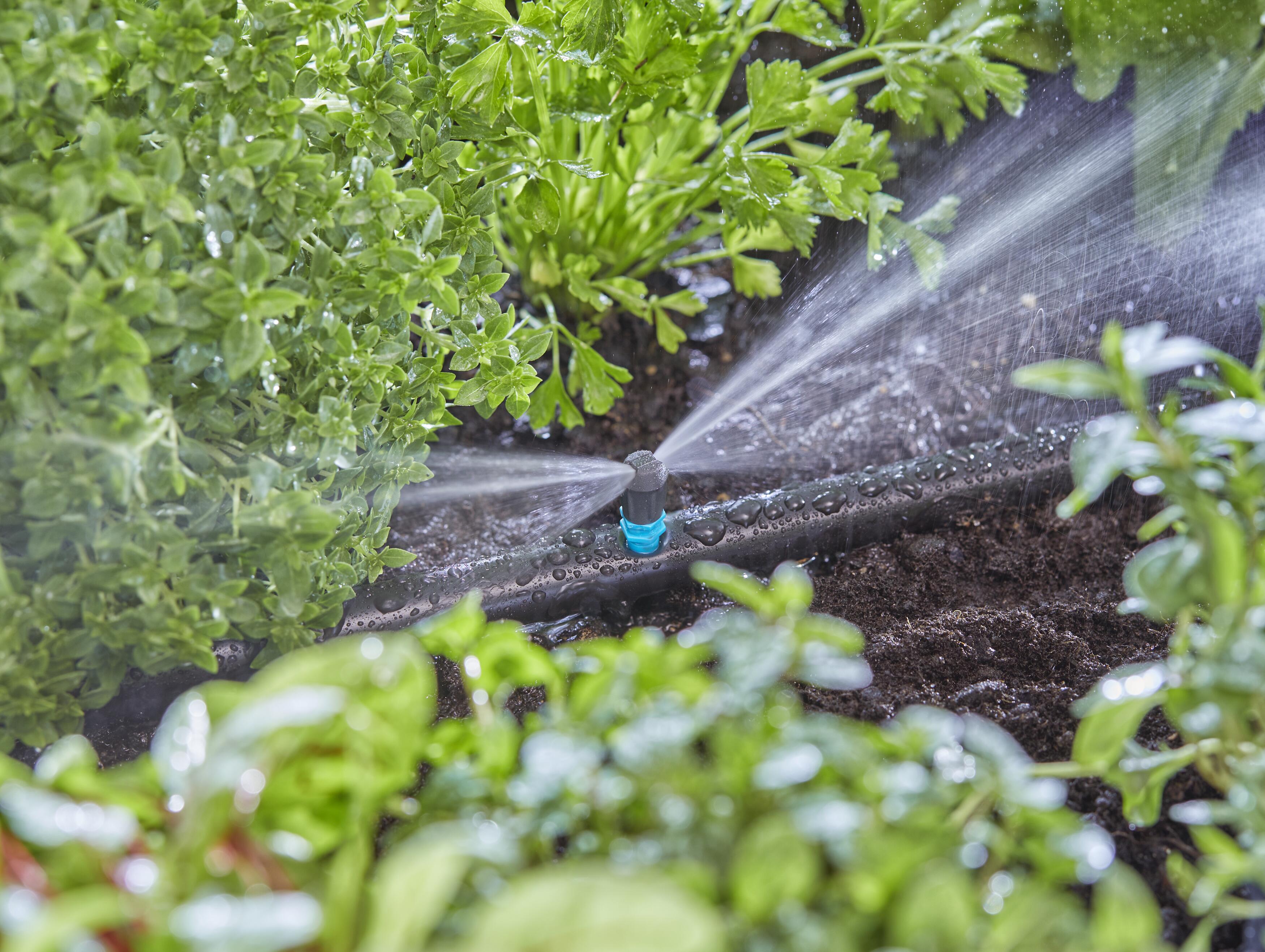 Aspersor Micro Strip