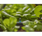 Aspersor final Micro Strip