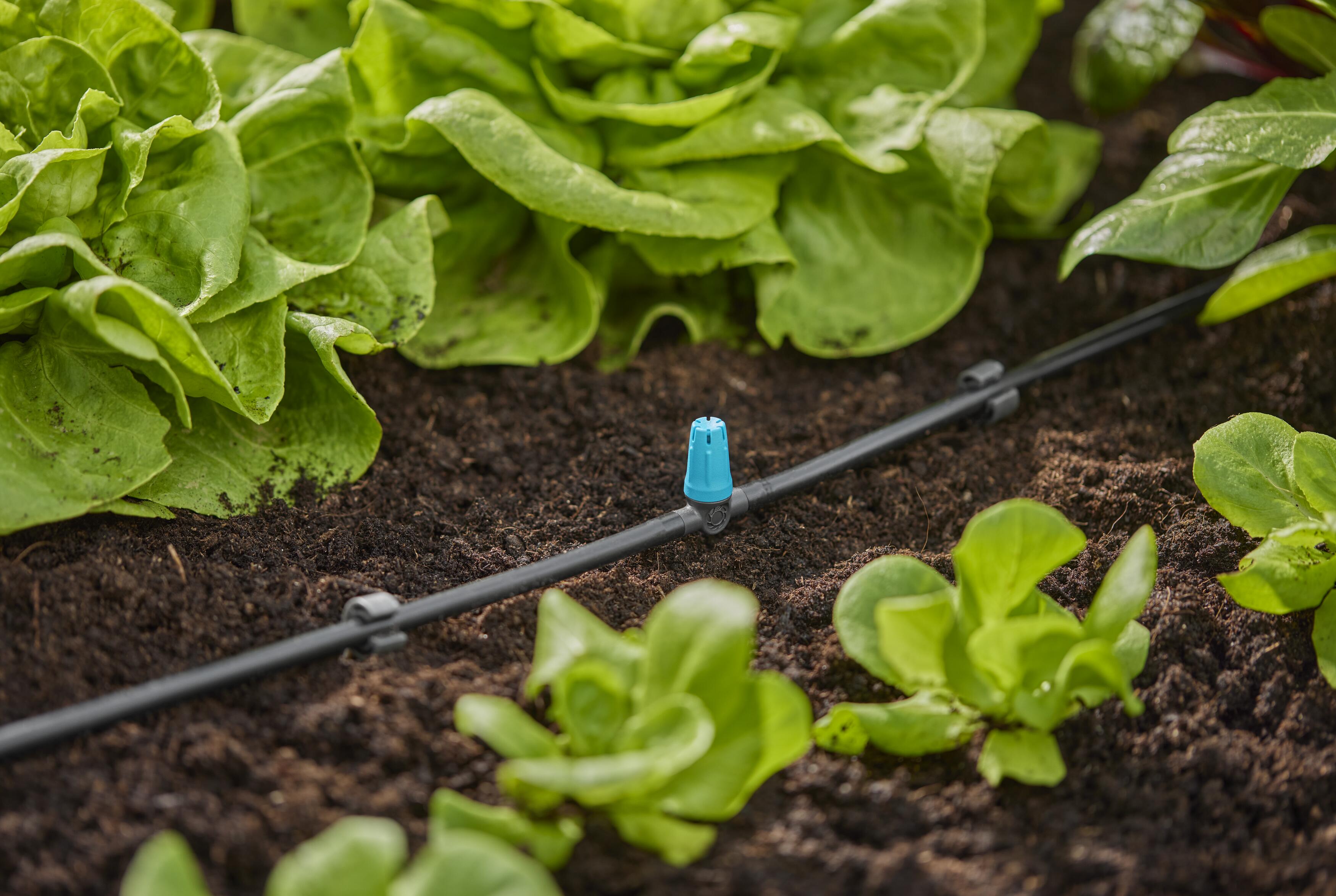 Aspersor para superficies pequeñas