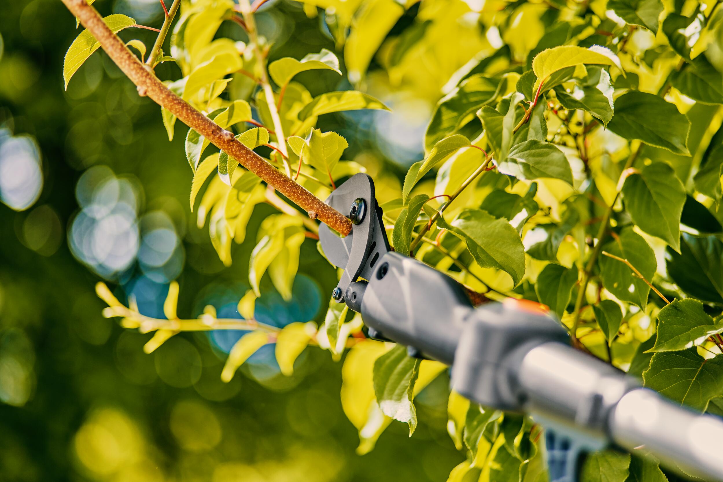 Cortarramas telescópico Highcut 250/18V P4A Conjunto listo para usar