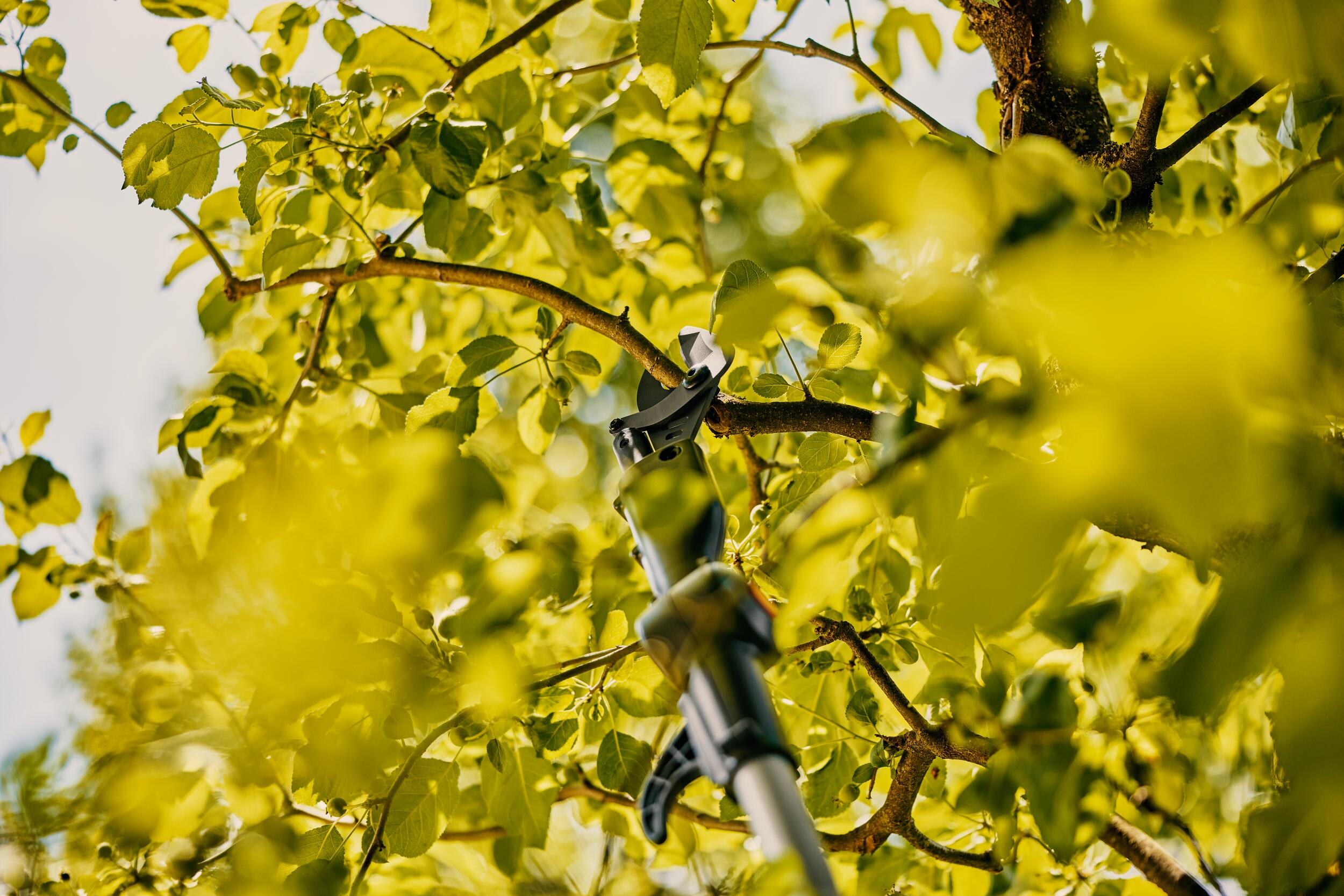 Cortarramas telescópico Highcut 250/18V P4A Conjunto listo para usar