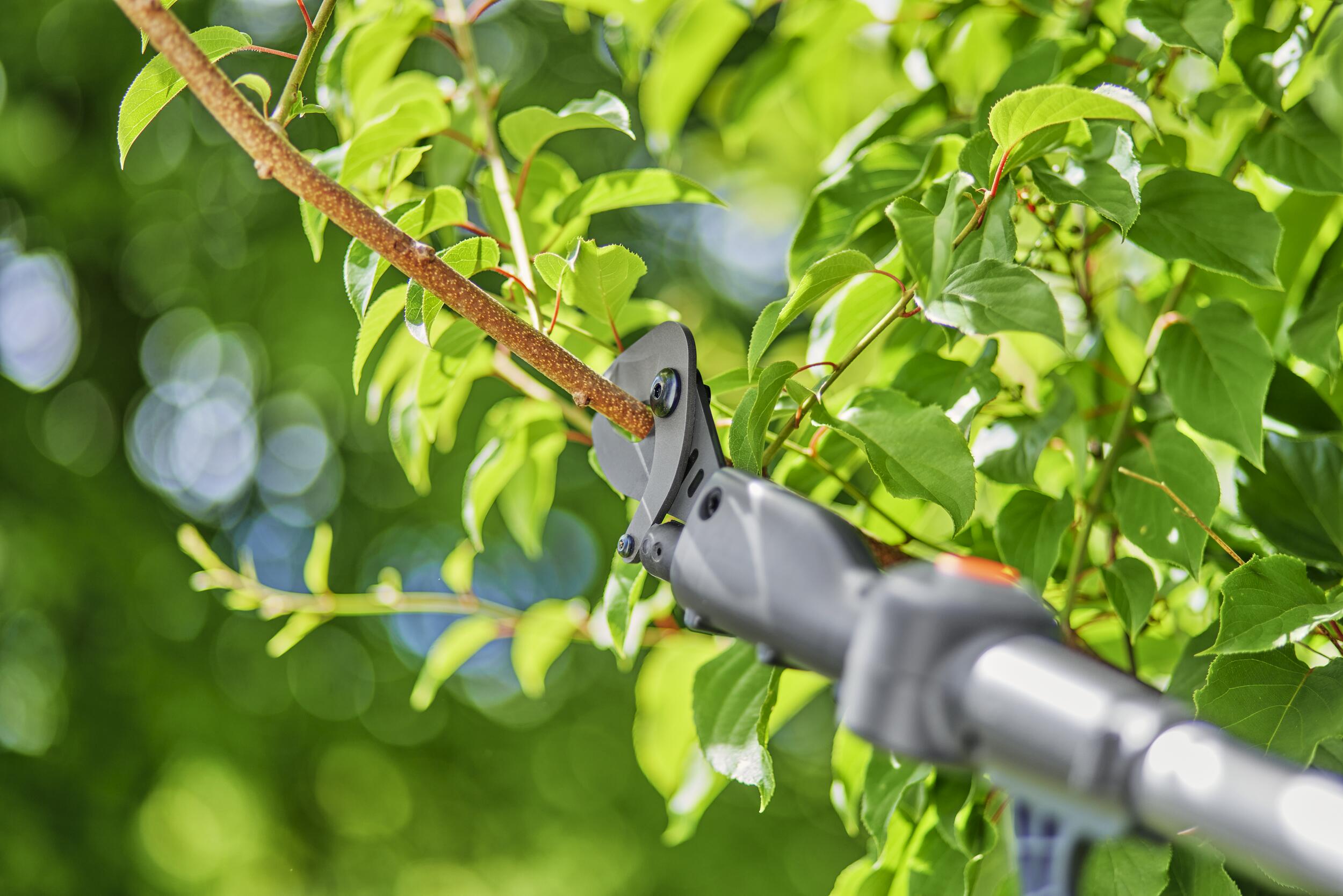 Cortarramas telescópico Highcut 250/18V P4A Solo