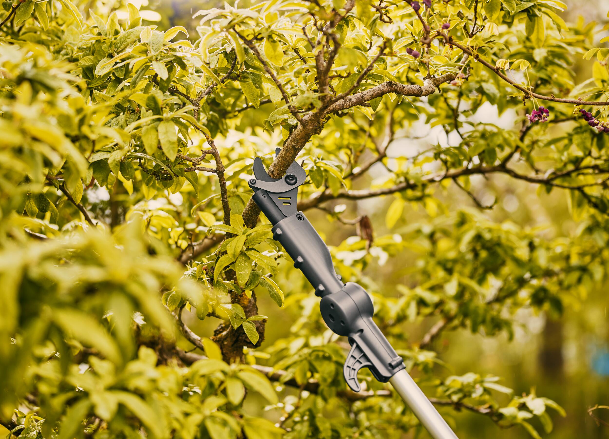 Cortarramas telescópica Highcut 360/18V P4A Conjunto de listo para usar