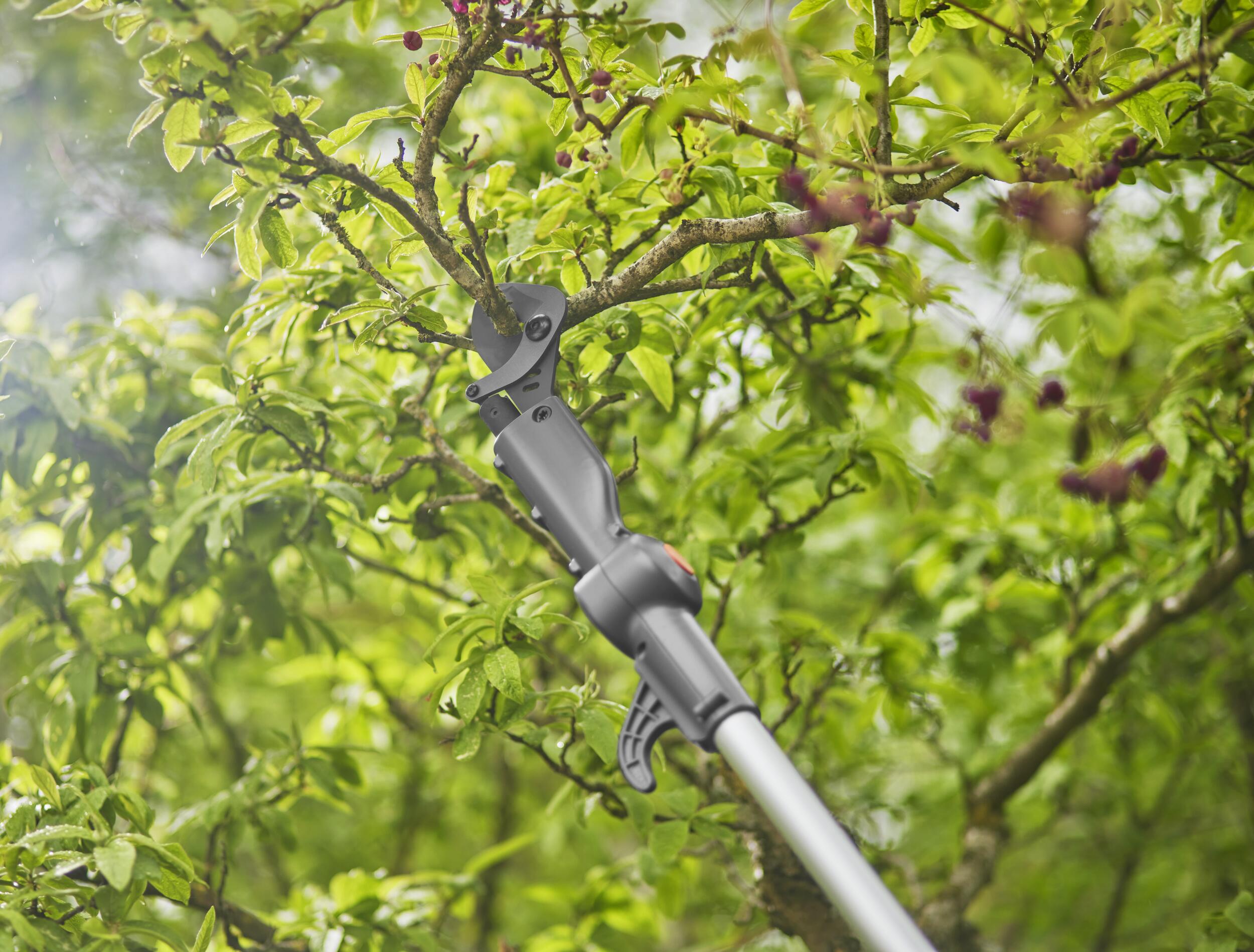 Cortarramas  telescópica  Highcut 360/18V P4A Solo