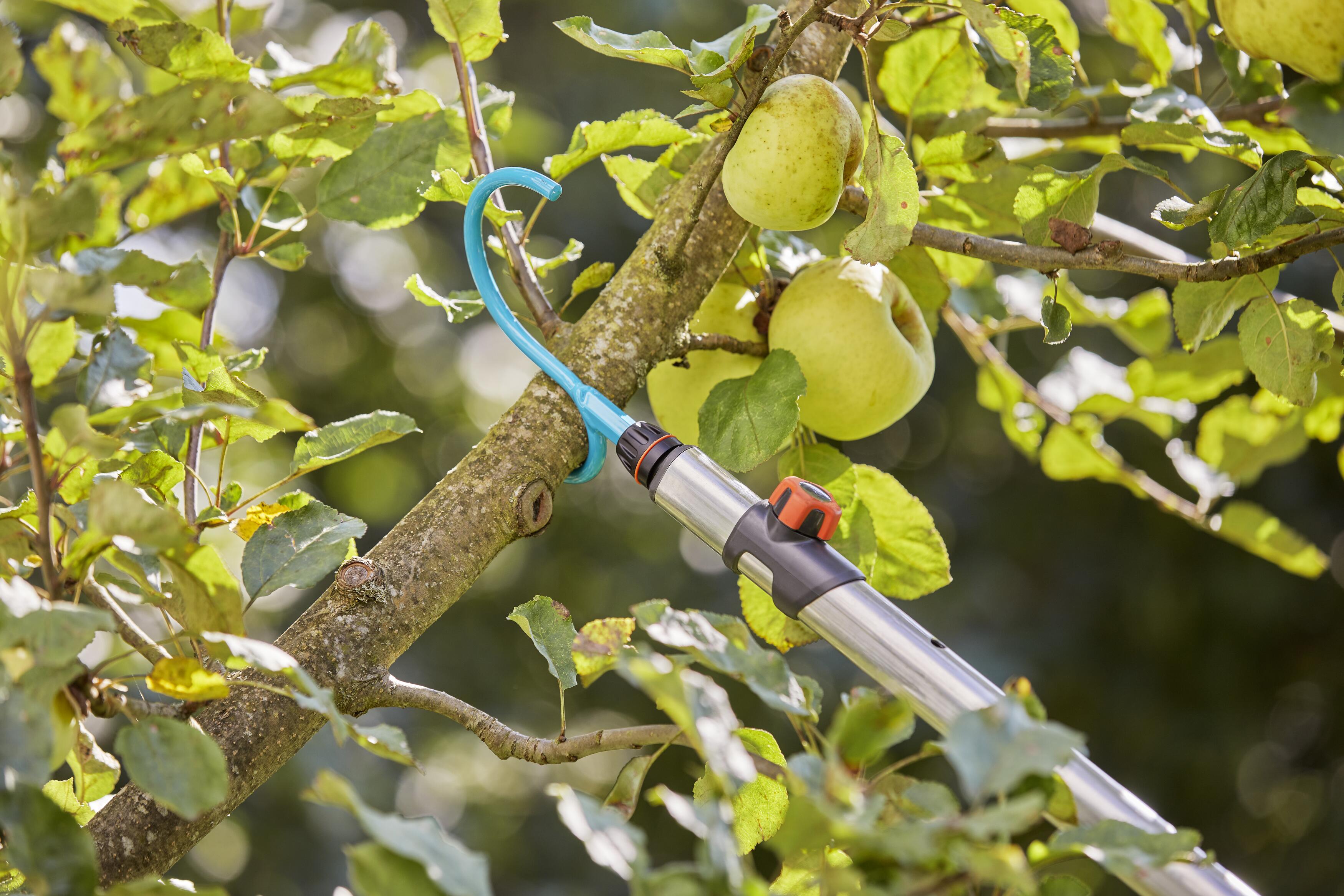 Gancho para ramas combisystem