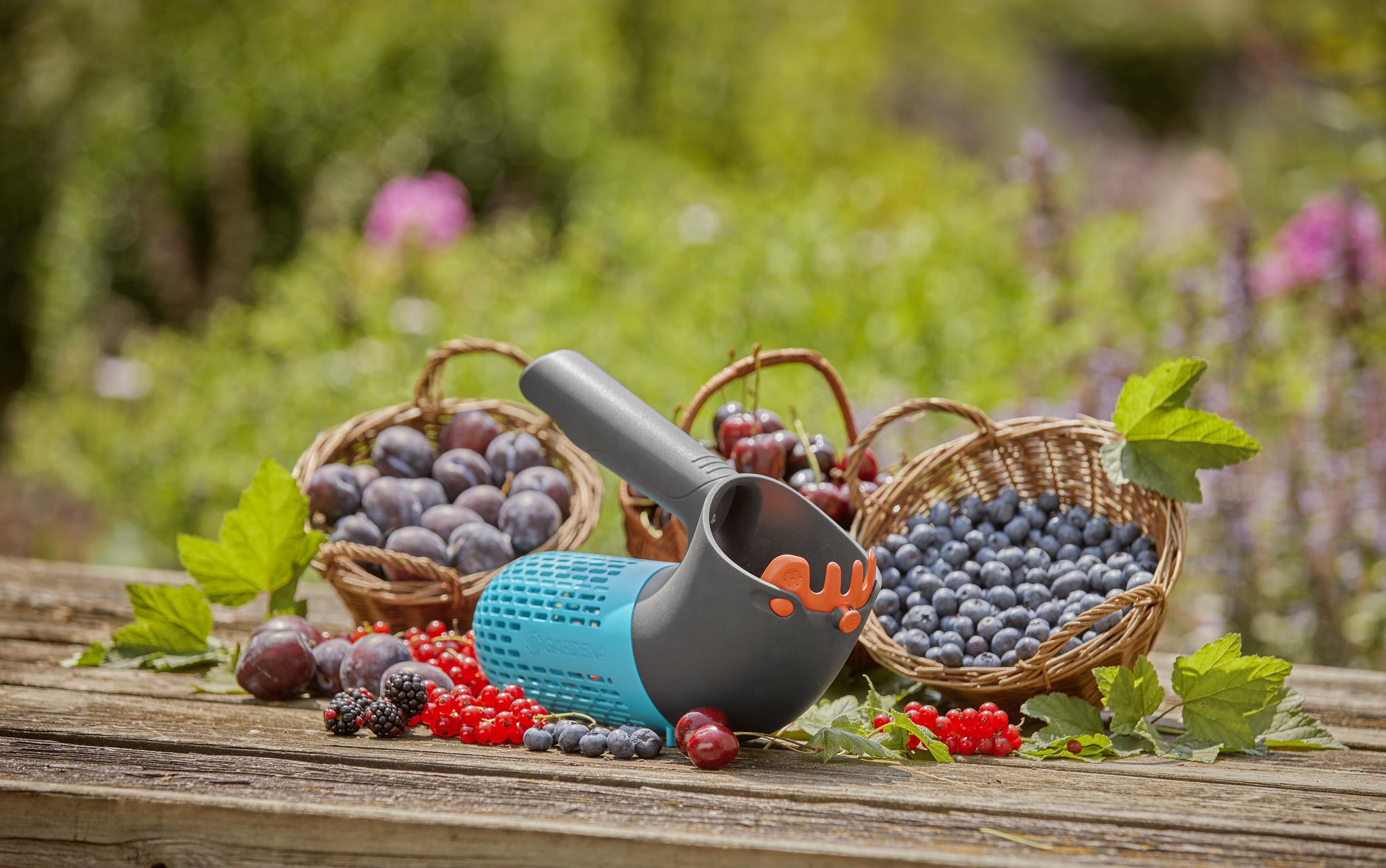 Recogedor de bayas combisystem