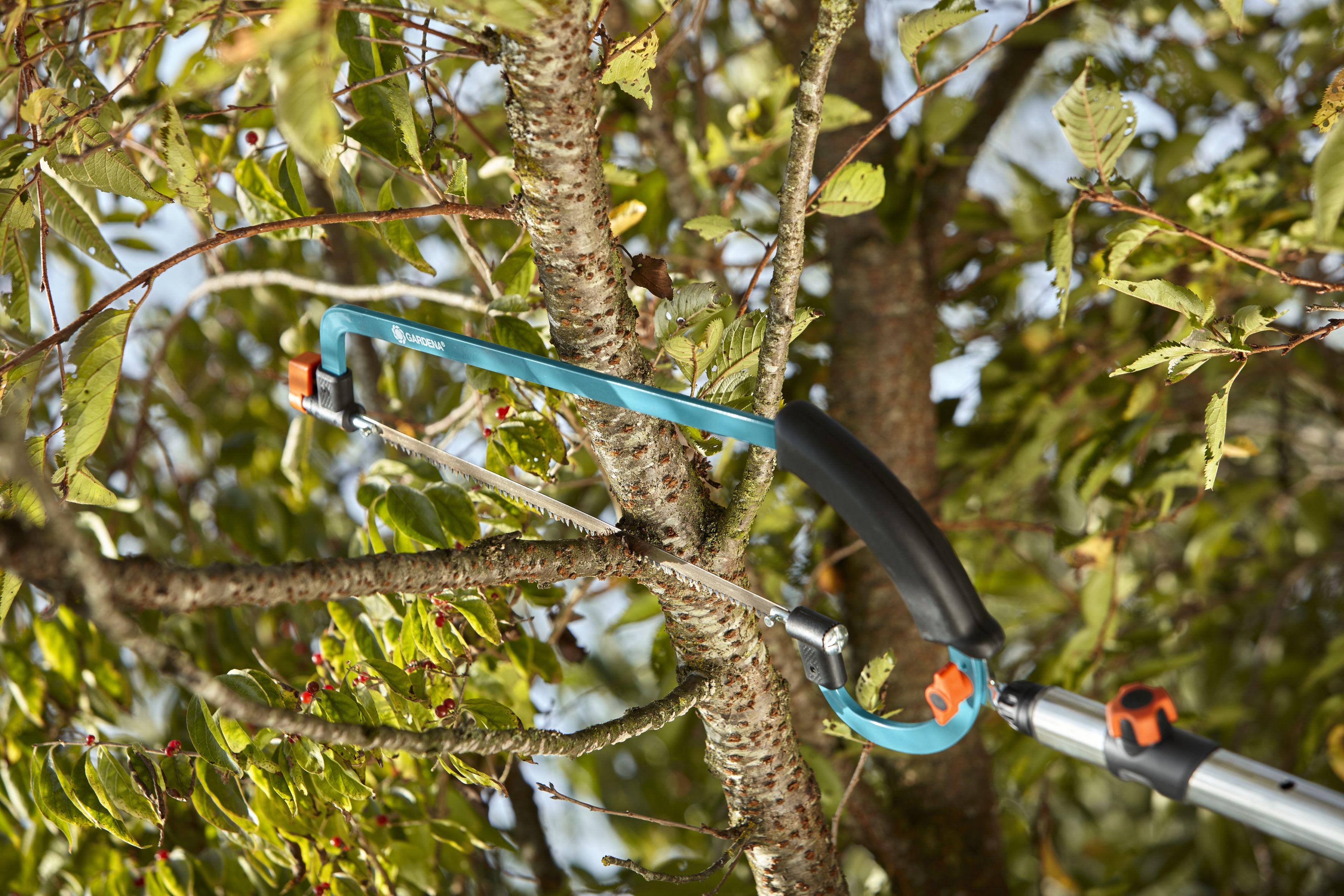 Sierra de arco combisystem