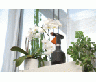 Pulverizador universal Premium 1 l