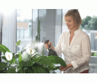 Pulverizador universal Premium 1 l