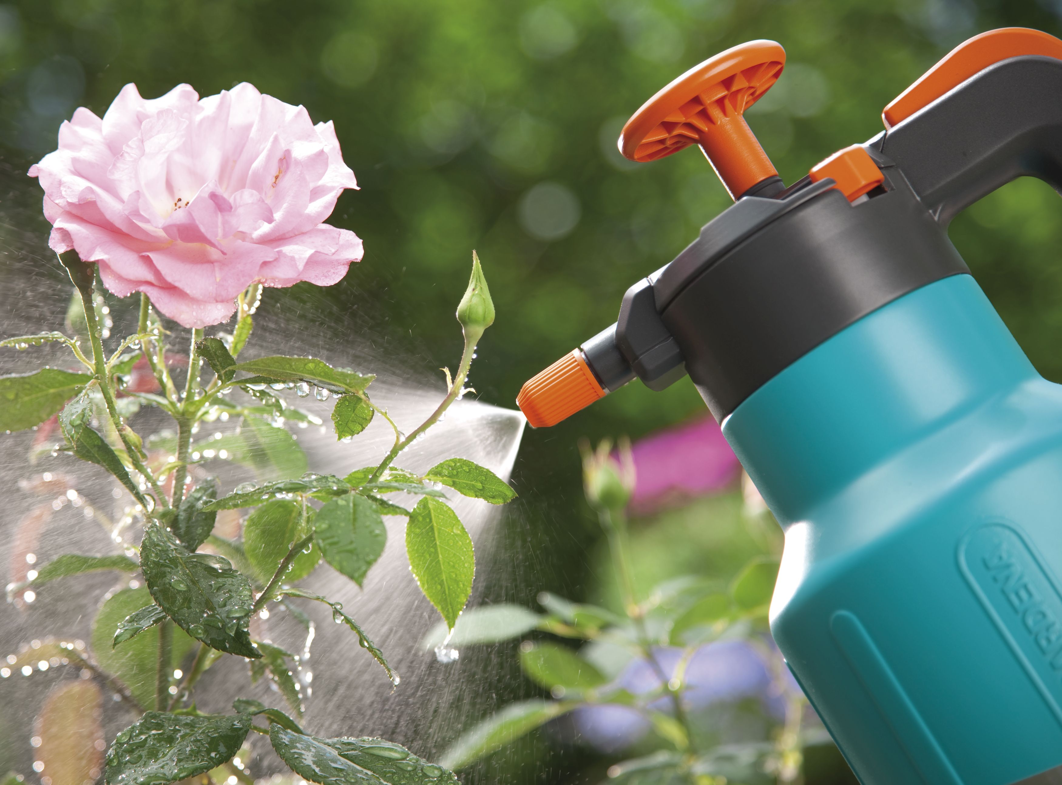 Pulverizador a presión Comfort de 1,25 l